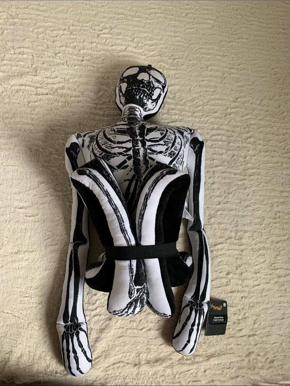 4 Ft Skeleton Spector Bones Comfy Curiosity
